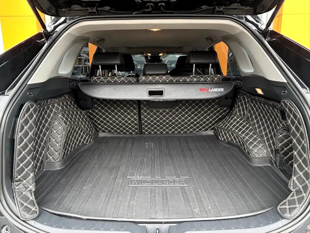 TOYOTA WILDLANDER 2022