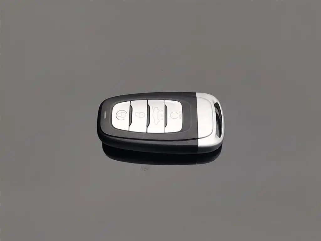 HONGQI H5 2022