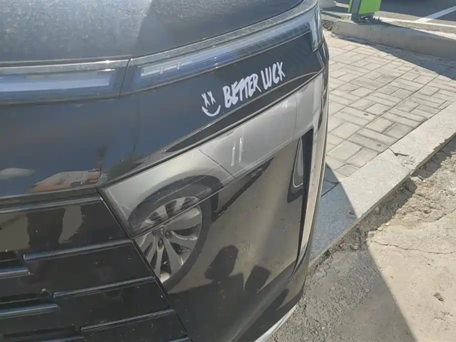 TRUMPCHI E8 NEW ENERGY 2024