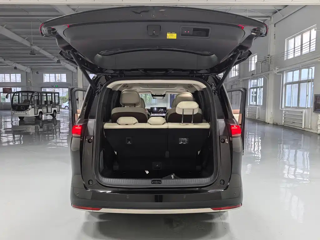 BYD OTHER 2025