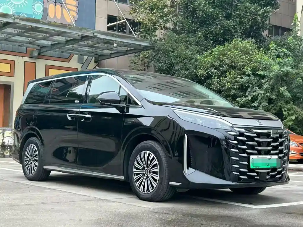 BYD XIA 2025