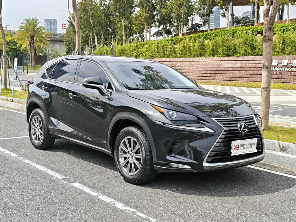 LEXUS NX 2020