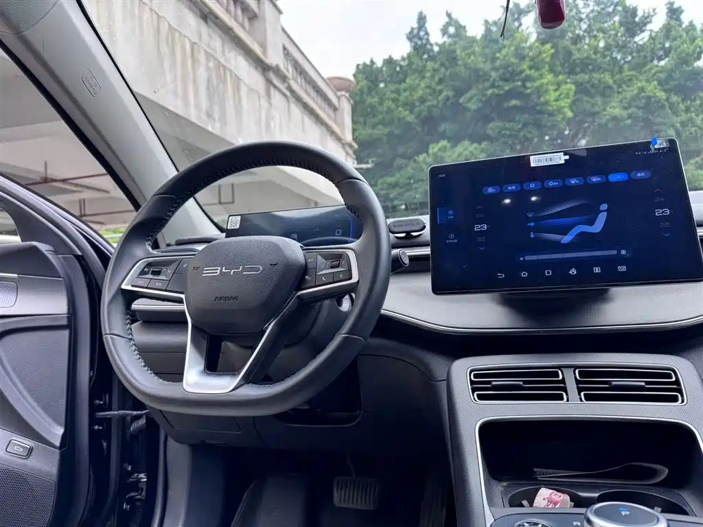 BYD DESTROYER 05 2024