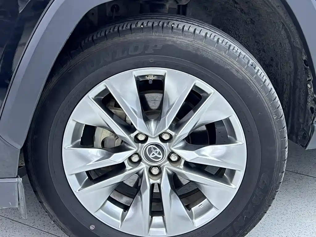 TOYOTA WILDLANDER 2022