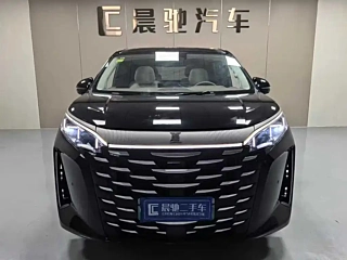 BYD OTHER 2025