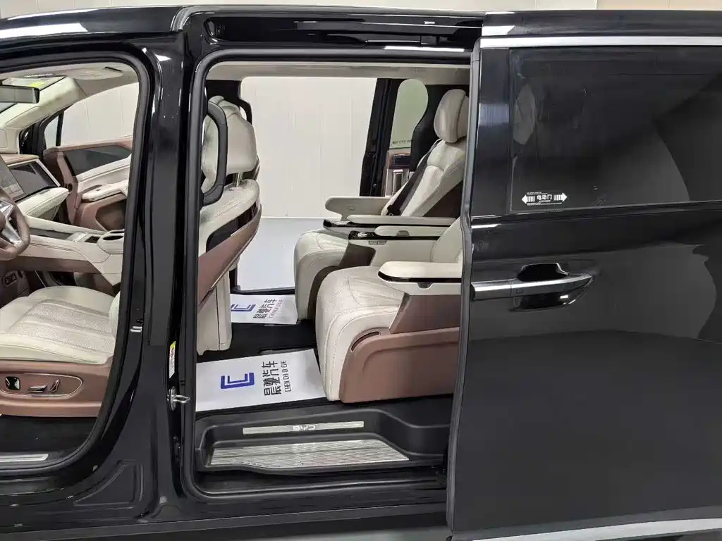 BYD OTHER 2025