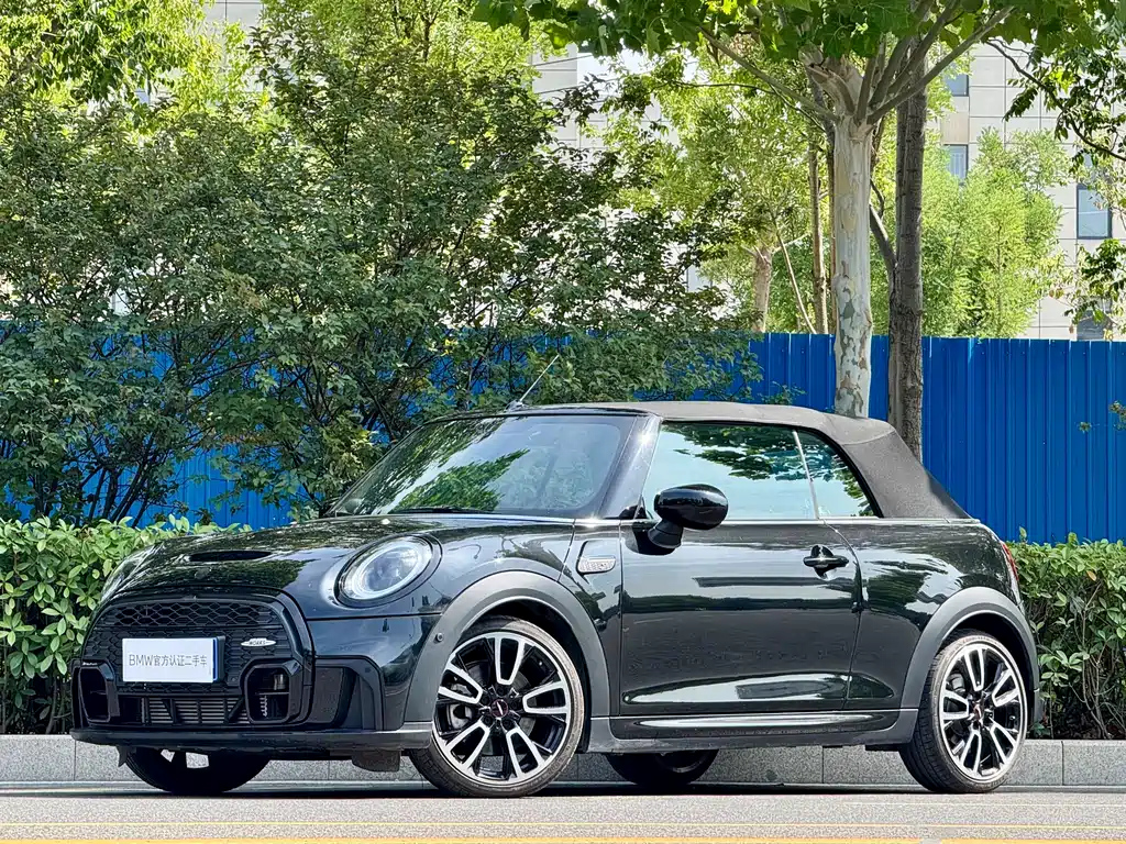 MINI OTHER 2023