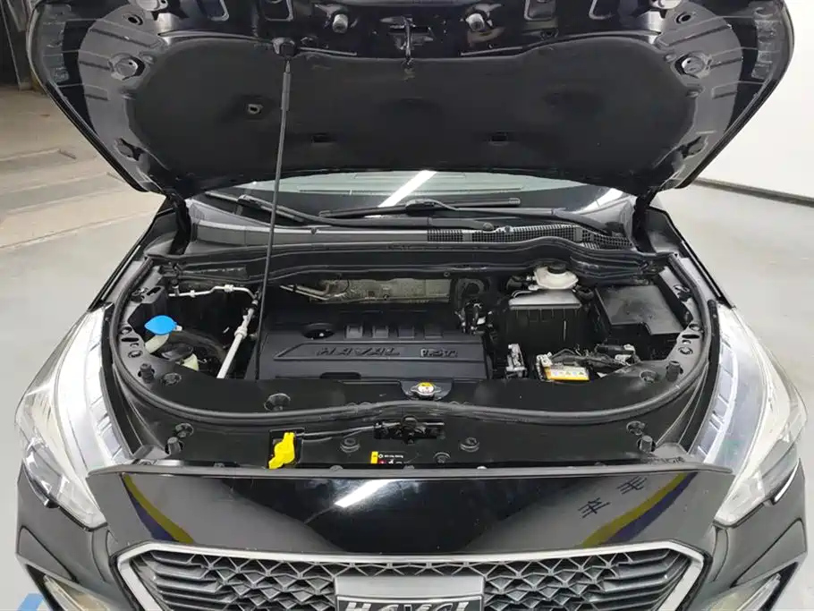 HAVAL M6 2019