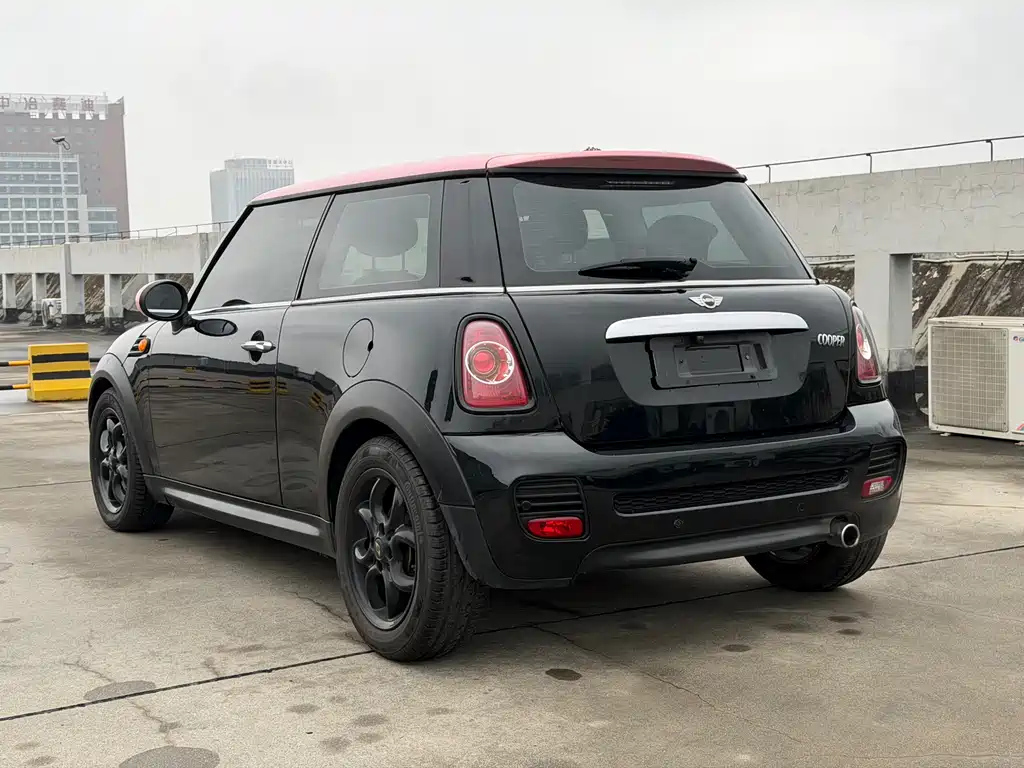 MINI OTHER 2013