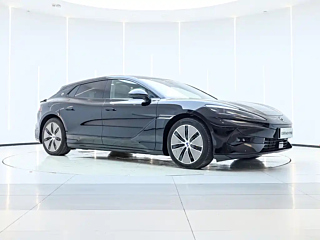 Заказать DENZA Z9GT