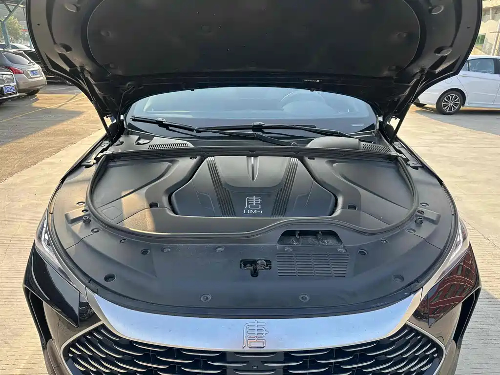 BYD TANG NEW ENERGY 2024