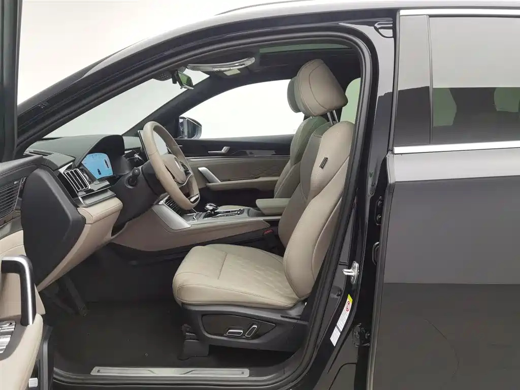 BYD TANG NEW ENERGY 2024