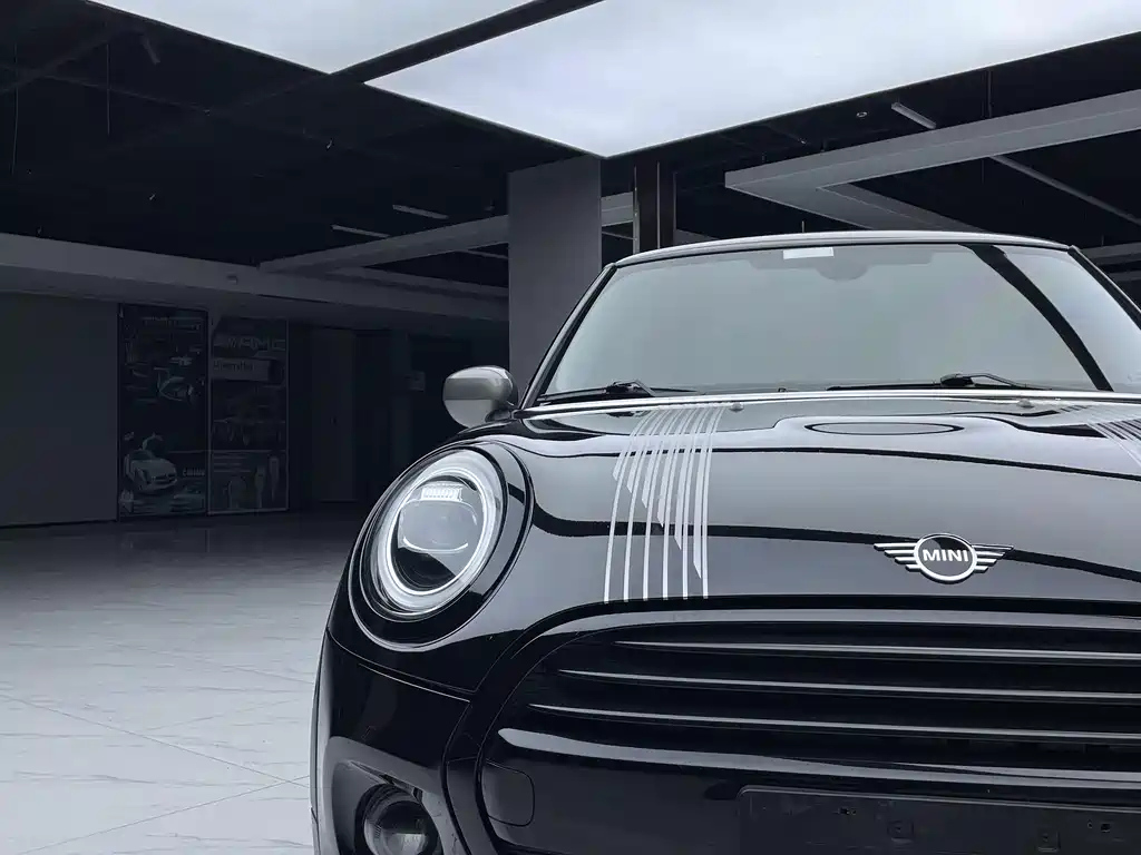 MINI OTHER 2021