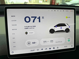 FIREFLY OTHER  2025 YEAR &#33258;&#22312; EDITION 2025