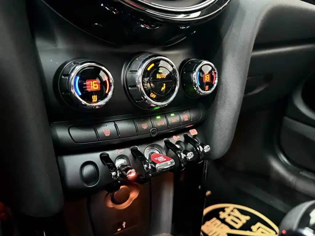 MINI OTHER 2020