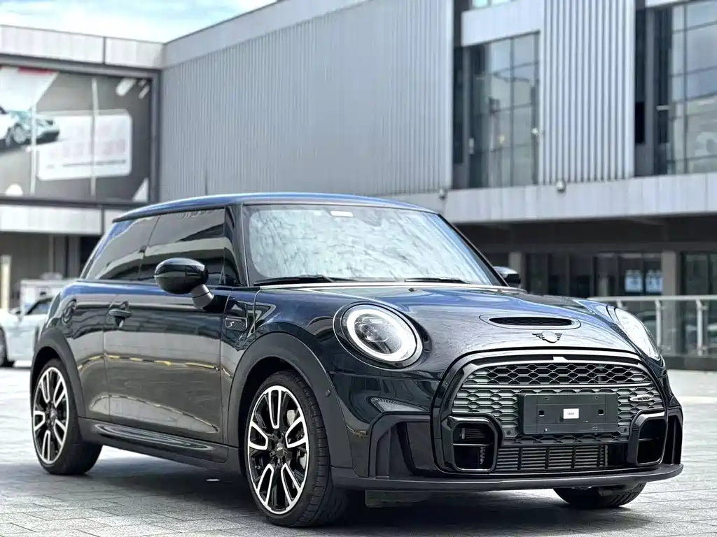 MINI OTHER 2024