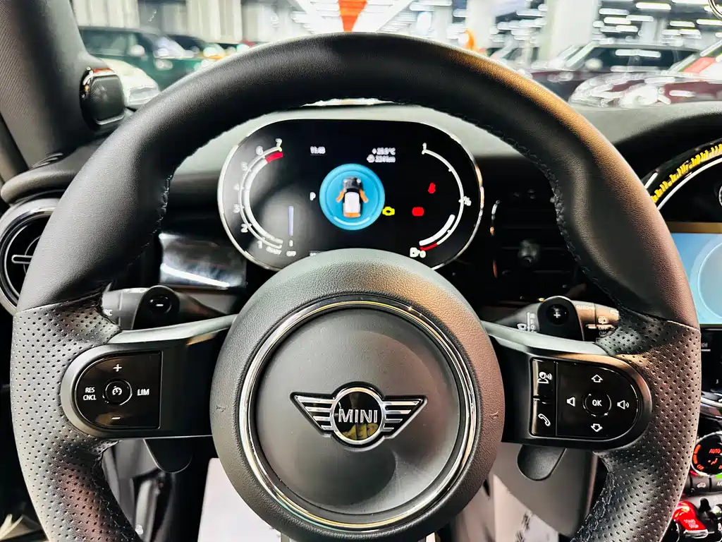 MINI OTHER 2023