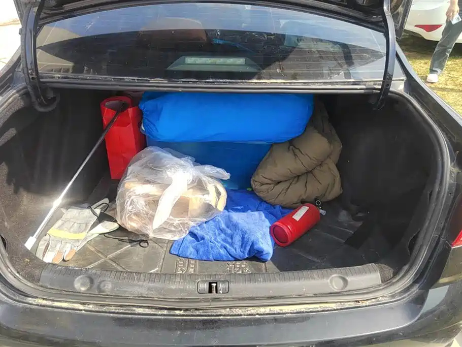 VOLKSWAGEN LAVIDA 2015