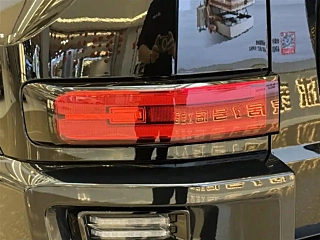 TANK 700 NEW ENERGY  2024 YEAR HI4-T &#26497;&#22659; EDITION 2024