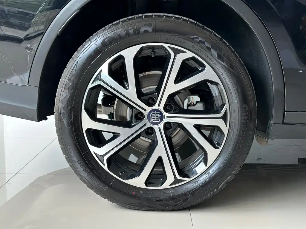BYD TANG NEW ENERGY 2025