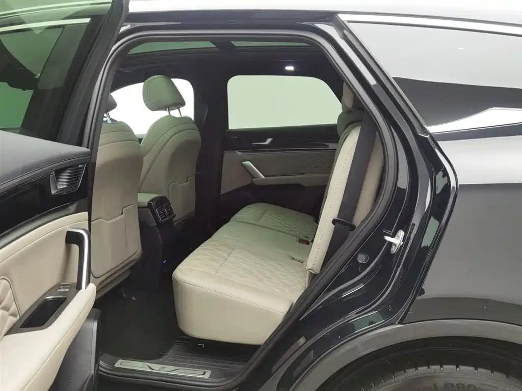 BYD TANG NEW ENERGY 2024