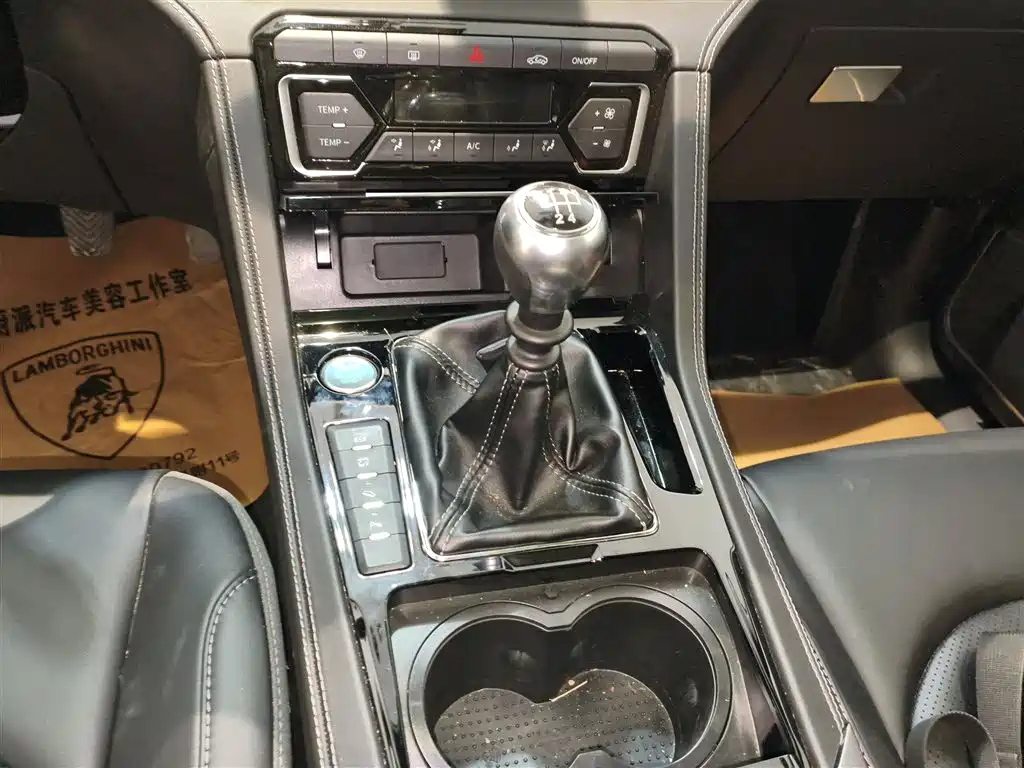 ZOTYE BIG 迈X7 2019