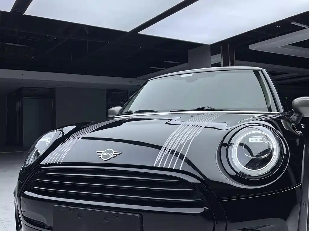 MINI OTHER 2021