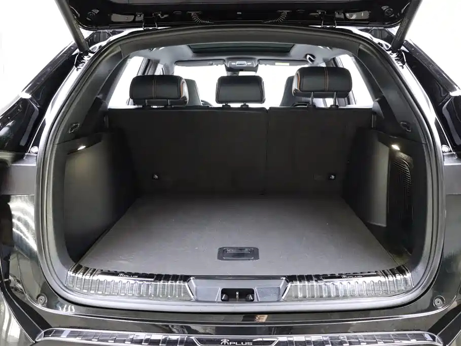 BYD SONG PLUS NEW ENERGY 2024