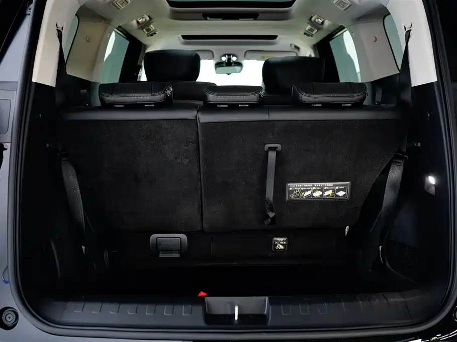 TRUMPCHI E8 NEW ENERGY 2024