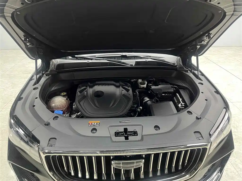 GEELY AUTO MONJARO 2021
