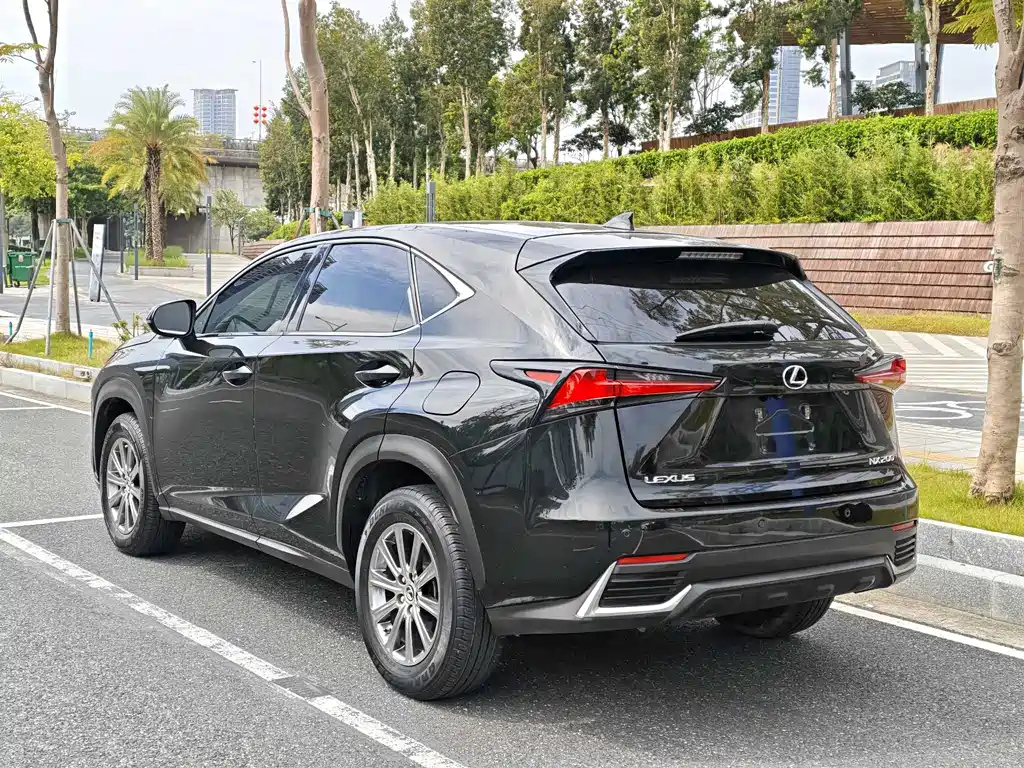 LEXUS NX 2020