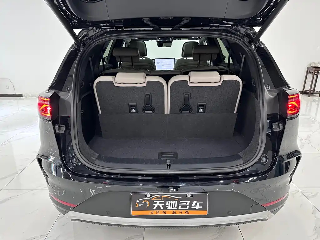 BYD TANG NEW ENERGY 2025