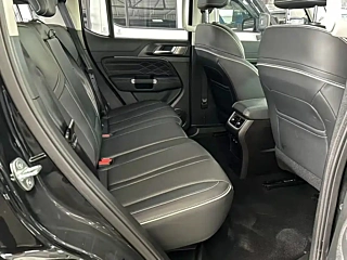 TANK 300 2023 YEAR EDITION 2.0T 2023