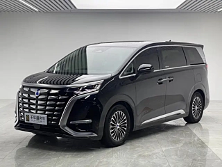 Заказать DENZA D9