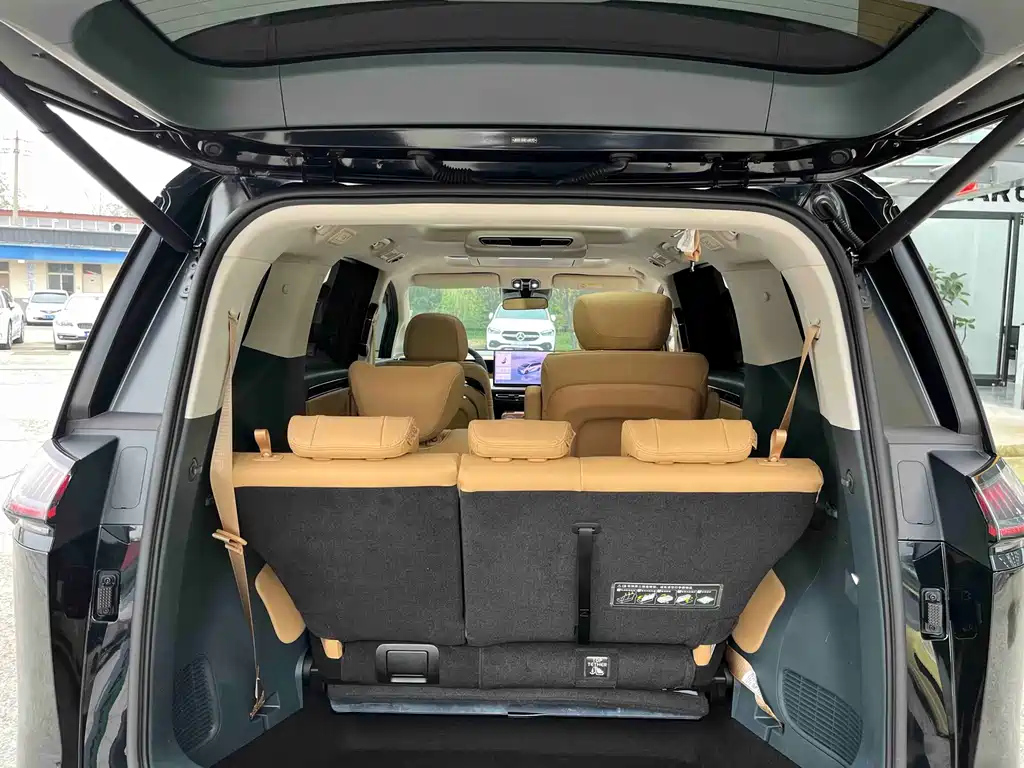 TRUMPCHI E8 NEW ENERGY 2024