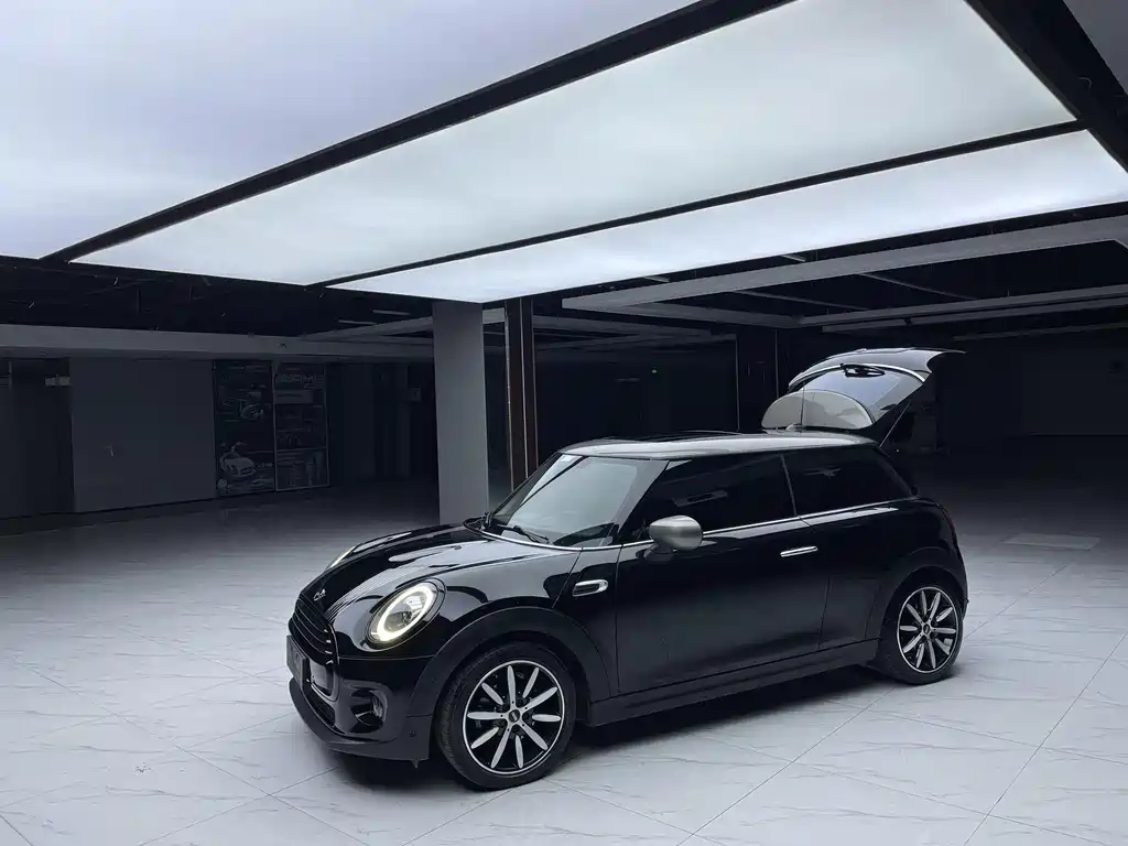 MINI OTHER 2021