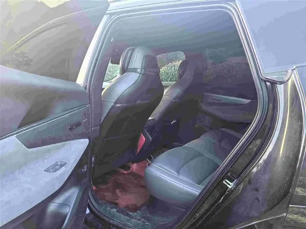 LYNK&CO 08 NEW ENERGY 2023