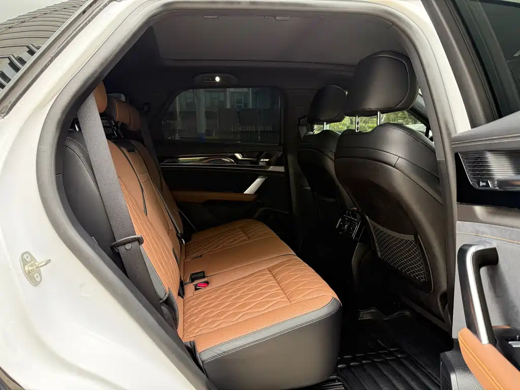 BYD TANG NEW ENERGY 2021