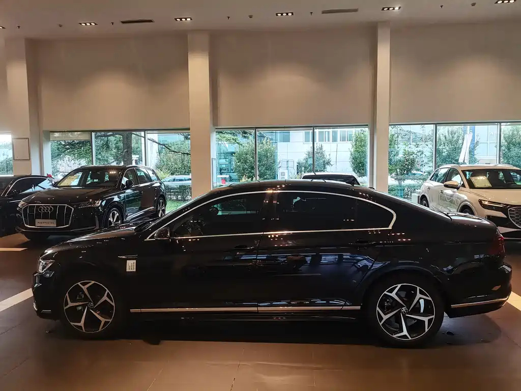 VOLKSWAGEN MAGOTAN 2024