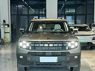 JETOUR &#23665;&#28023;T1  2024