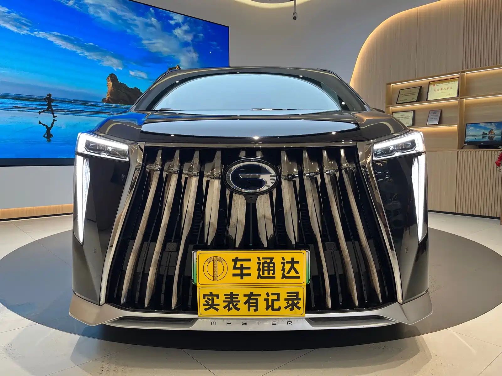 Аукционный лист TRUMPCHI E9 2024
