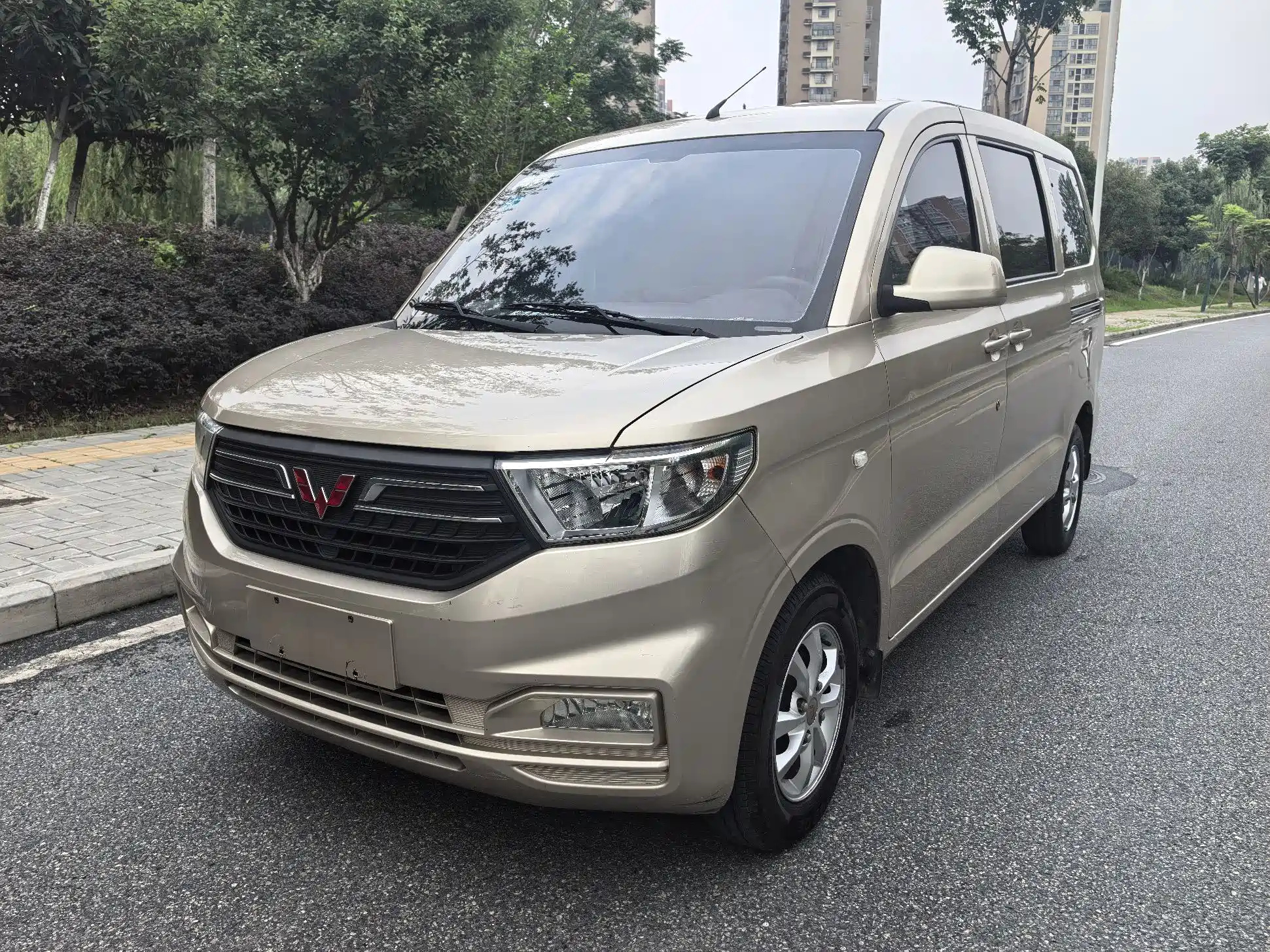 SGMW WULING HONGGUANG V 2019