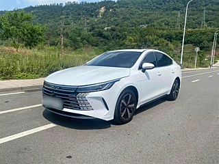 BYD DESTROYER 05 2024