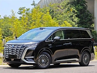 Заказать DENZA D9