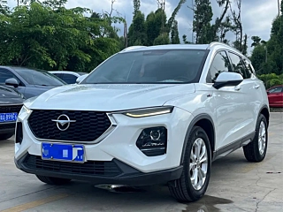 Заказать HAMA 8S