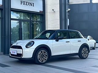 MINI OTHER  2025