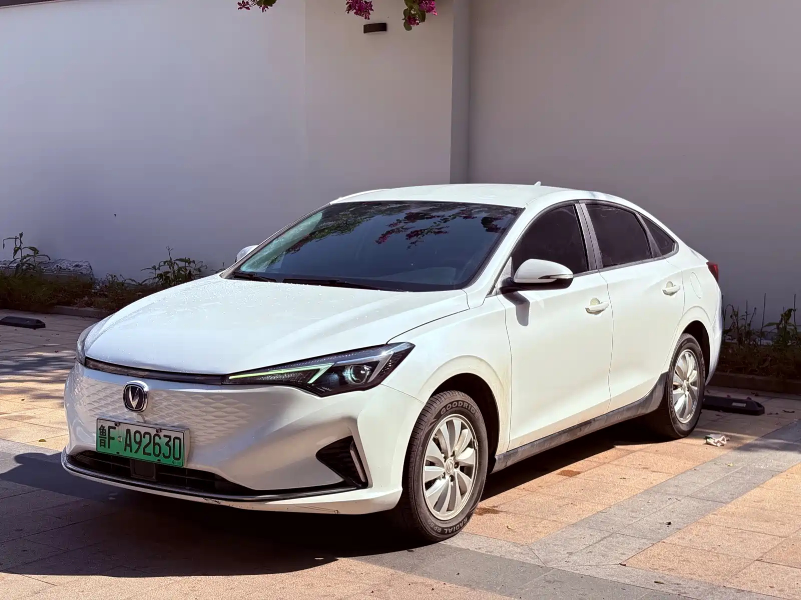 CHANGAN EADO NEW ENERGY 2023