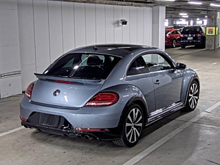VOLKSWAGEN THE BEETLE 2019