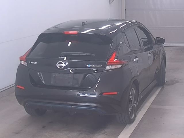 NISSAN LEAF 2019