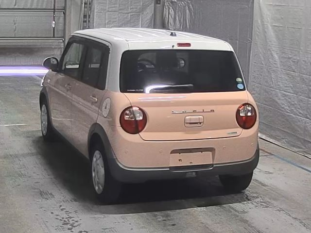 SUZUKI ALTO LAPIN 2019